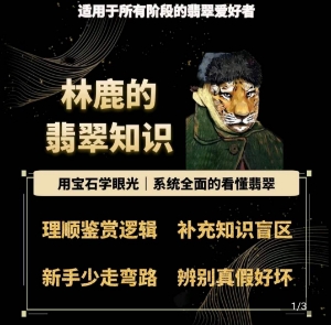 林鹿的翡翠知识，​用宝石眼光，系统全面的看懂翡翠-副业库