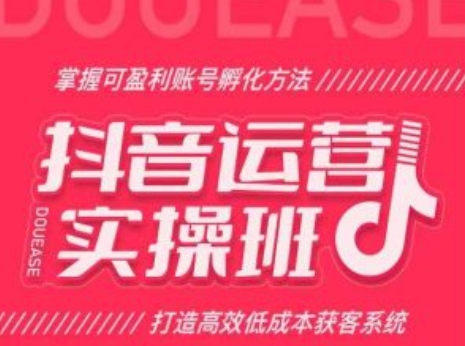 抖音运营实操班，掌握可盈利账号孵化方法，打造高效低成本获客系统-副业库