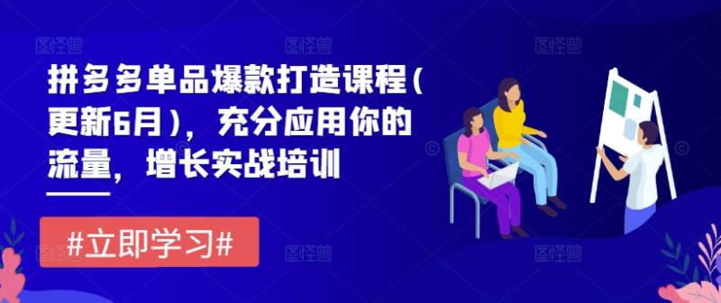 拼多多单品爆款打造课程(更新6月)，充分应用你的流量，增长实战培训-副业库