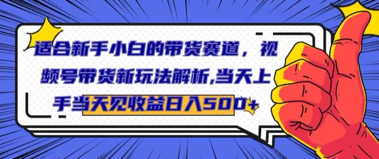 适合新手小白的带货赛道，视频号带货新玩法解析，当天上手当天见收益，日入500+-副业库