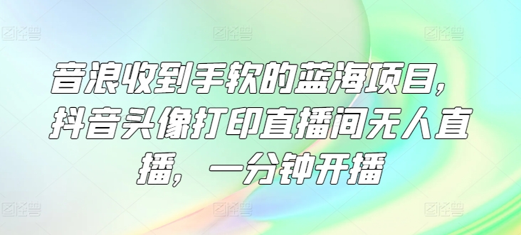 音浪收到手软的蓝海项目，抖音头像打印直播间无人直播，一分钟开播-副业库