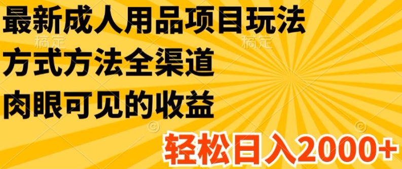 最新成人用品项目玩法，方式方法全渠道，轻松日入2K+【揭秘】-副业库