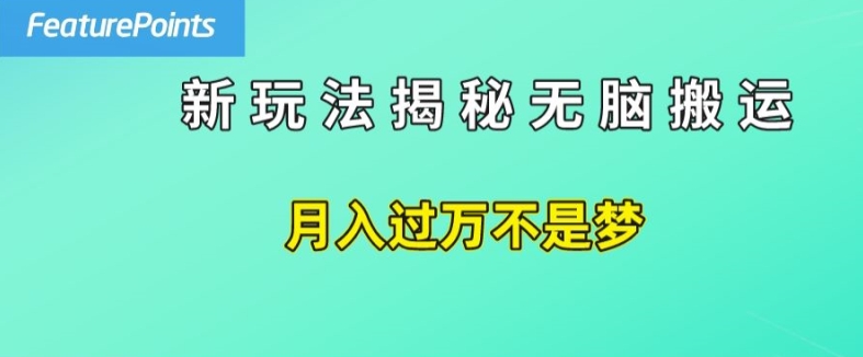 简单操作，每天50美元收入，搬运就是赚钱的秘诀【揭秘】-副业库