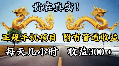 正规手机项目，附有丰富的管道收益，每天几小时，收益300-副业库
