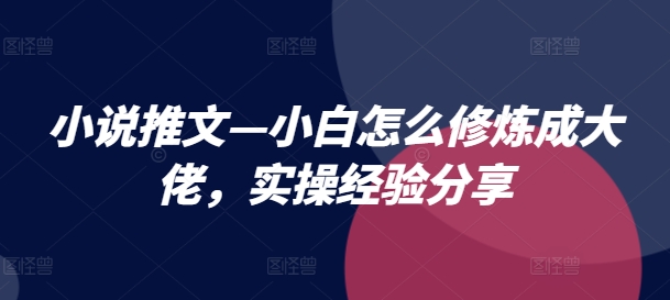 小说推文—小白怎么修炼成大佬，实操经验分享-副业库