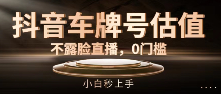 抖音车牌号估值，不露脸直播，0门槛，小白秒上手【揭秘】-副业库