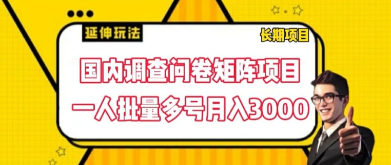 国内调查问卷矩阵项目，一人批量多号月入3000【揭秘】-副业库