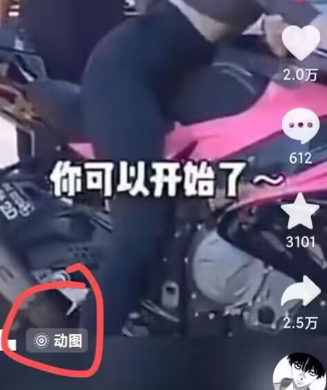 图片[2]-2024年7月苹果手机动图搬运技术-副业库