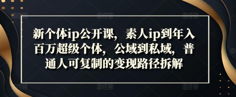 新个体ip公开课，素人ip到年入百万超级个体，公域到私域，普通人可复制的变现路径拆解-副业库