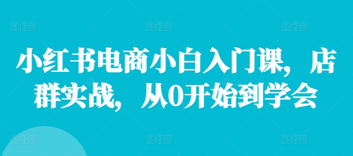 小红书电商小白入门课，店群实战，从0开始到学会-副业库