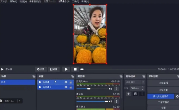 图片[2]-2024最新拼多多无人直播教程，转化率更高，低门槛，轻松实现每日1000+的收入-副业库