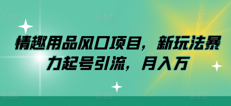 情趣用品风口项目，新玩法暴力起号引流，月入万-副业库