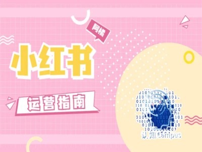 小红书运营指南，没有套路，全是经验-副业库