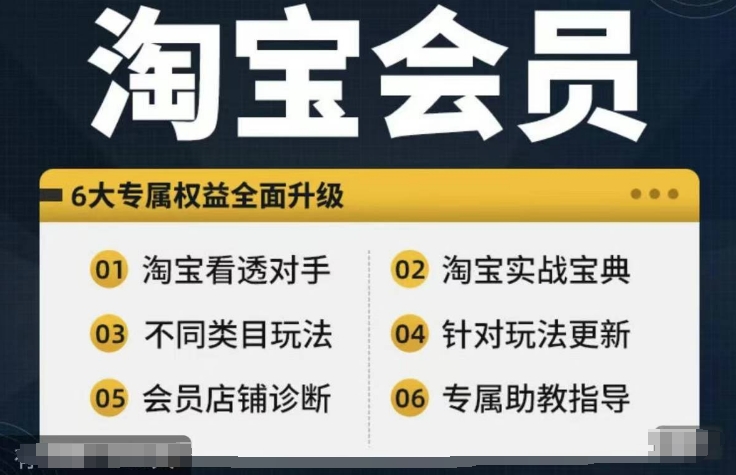 淘宝会员【淘宝所有课程，全面分析对手】，初级到高手全系实战宝典-副业库