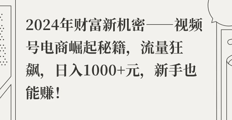 2024年财富新机密——视频号电商崛起秘籍，流量狂飙，日入1k元，新手也能赚-副业库