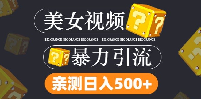 搬运tk美女视频全网分发，日引s粉300+，轻松变现，不限流量不封号【揭秘】-副业库