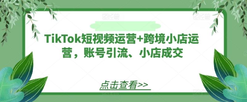 TikTok短视频运营+跨境小店运营，账号引流、小店成交-副业库