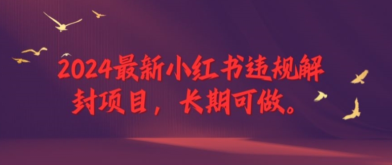 2024最新小红书违规解封项目，长期可做，一个可以做到退休的项目【揭秘】-副业库