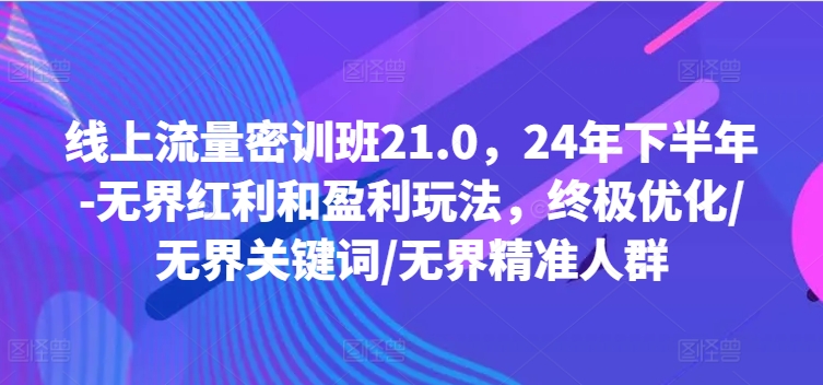 线上流量密训班21.0，24年下半年-无界红利和盈利玩法，终极优化/无界关键词/无界精准人群-副业库