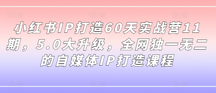 小红书IP打造60天实战营11期，5.0大升级，全网独一无二的自媒体IP打造课程-副业库
