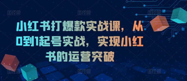 小红书打爆款实战课，从0到1起号实战，实现小红书的运营突破-副业库