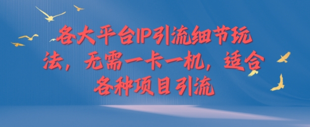 各大平台IP引流细节玩法，无需一卡一机，适合各种项目引流-副业库