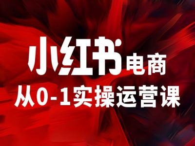 小红书电商从0-1实操运营课，让你从小白到精英-副业库