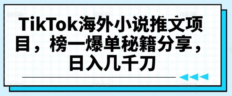 TikTok海外小说推文项目，榜一爆单秘籍分享，日入几千刀-副业库