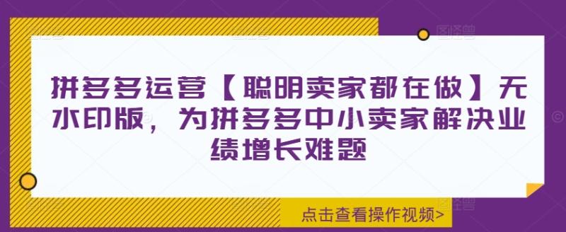 拼多多运营【聪明卖家都在做】无水印版，为拼多多中小卖家解决业绩增长难题-副业库