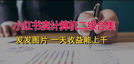 小红书卖计算机二级合集，发发图片 一天收益能上千-副业库
