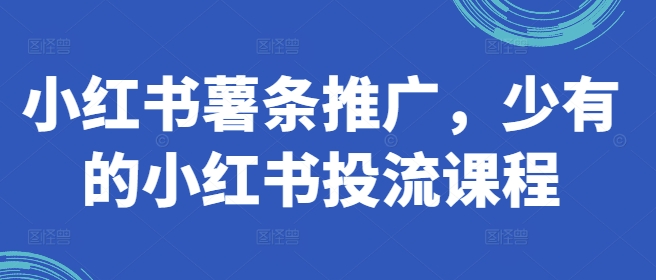 小红书薯条推广，少有的小红书投流课程-副业库