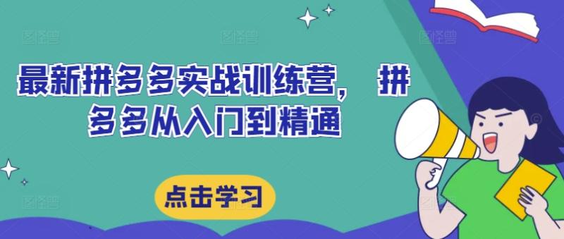 最新拼多多实战训练营， 拼多多从入门到精通-副业库