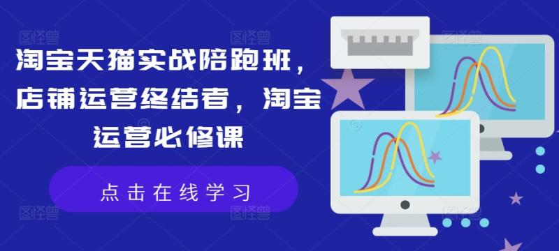淘宝天猫实战陪跑班，店铺运营终结者，淘宝运营必修课-副业库