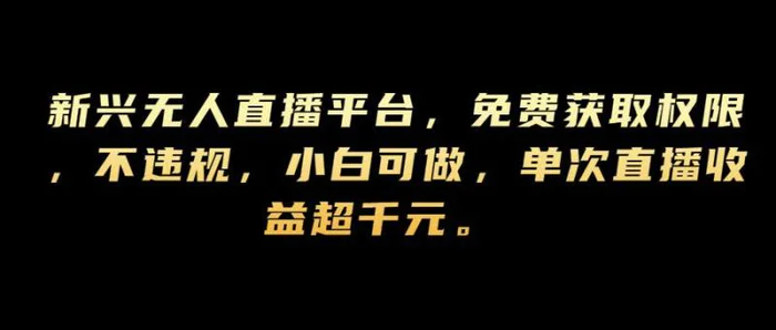 新兴无人直播平台，免费获取权限，不违规，小白可做，单次直播收益超千元-副业库