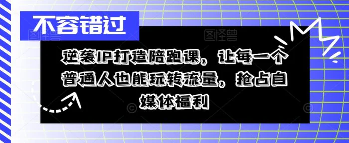 逆袭IP打造陪跑课，让每一个普通人也能玩转流量，抢占自媒体福利-副业库