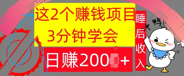 这2个项目，3分钟学会，日赚几张，懒人捡钱-副业库