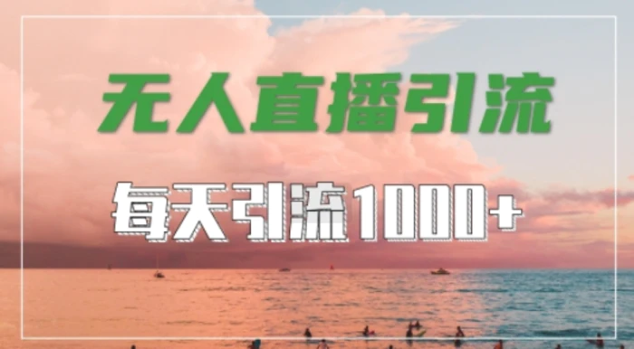 抖音快手视频号全平台通用，无人直播引流法，超暴力引流1000+高质量精准创业粉-副业库