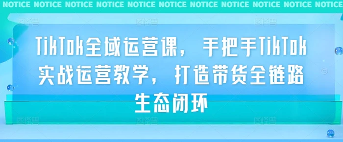 TikTok全域运营课，手把手TikTok实战运营教学，打造带货全链路生态闭环-副业库