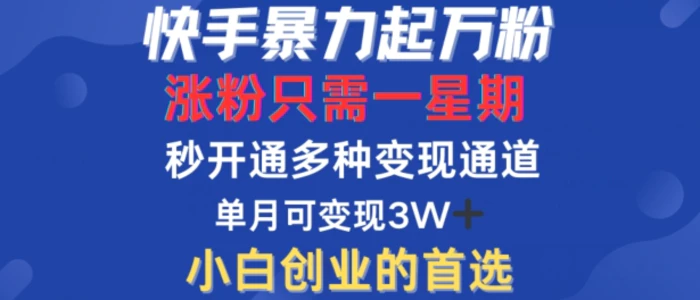 快手暴力起万粉，涨粉只需一星期，多种变现模式，直接秒开万合，单月变现过W【揭秘】-副业库