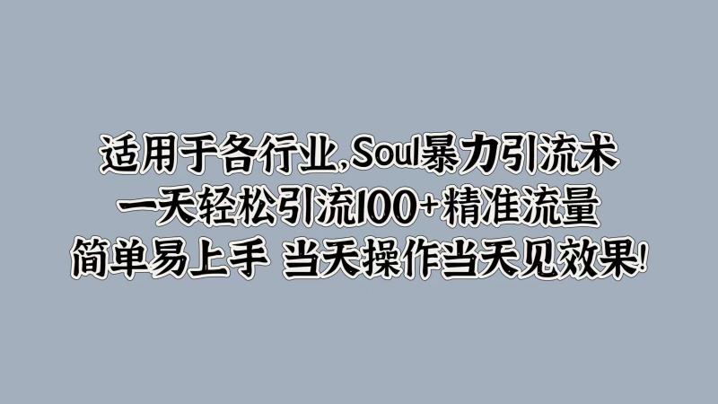 Soul暴力引流术，一天轻松引流100+精准流量，简单易上手 当天操作当天见效果!-副业库