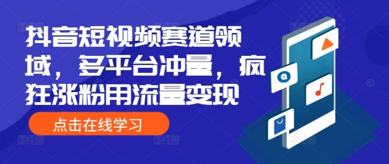 抖音短视频赛道领域，多平台冲量，疯狂涨粉用流量变现-副业库