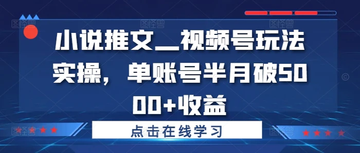 小说推文—视频号玩法实操，单账号半月破5000+收益-副业库