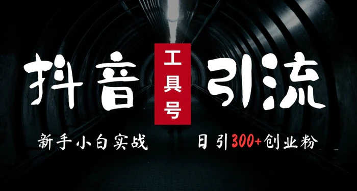 2024最新抖音工具号引流玩法，高效日引300+创业粉，当天变现5k，小白也可成为实战高手-副业库