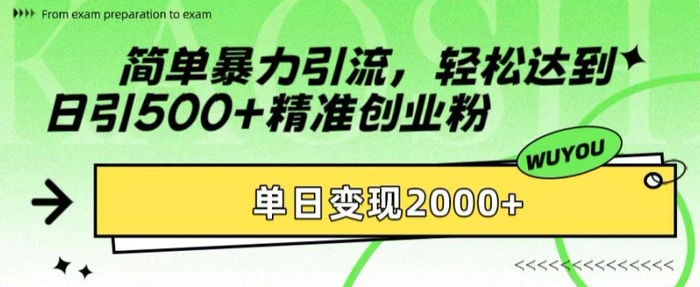 简单暴力引流，轻松达到日引500+精准创业粉，单日变现2k【揭秘】-副业库