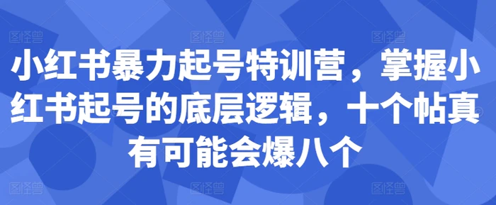 小红书暴力起号特训营，掌握小红书起号的底层逻辑，十个帖真有可能会爆八个-副业库