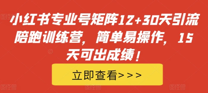 小红书专业号矩阵12+30天引流陪跑训练营，简单易操作，15天可出成绩!-副业库