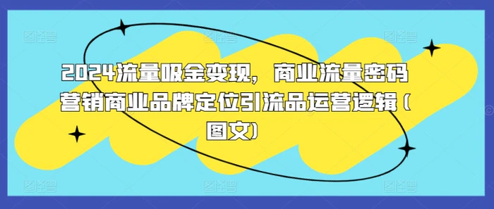2024流量吸金变现，商业流量密码营销商业品牌定位引流品运营逻辑(图文)-副业库