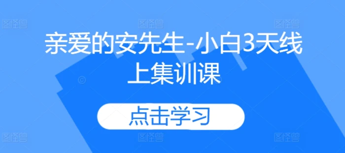 亲爱的安先生-小白3天线上集训课-副业库