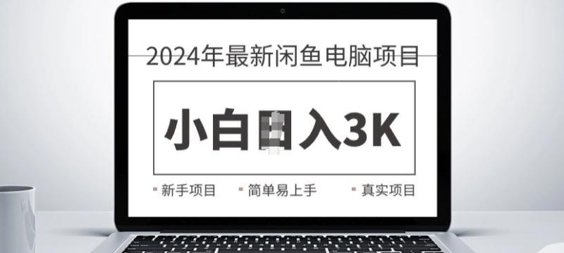 2024最新闲鱼电脑项目，动手就能吃肉的好项目-副业库