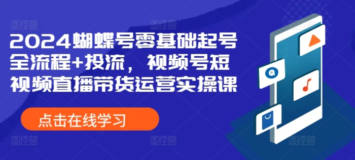 2024蝴蝶号零基础起号全流程+投流，视频号短视频直播带货运营实操课-副业库